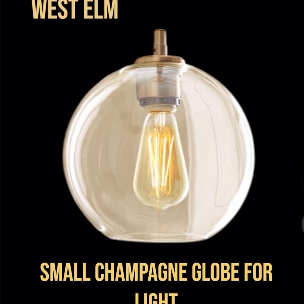West Elm Champagne Globe Light Fixture